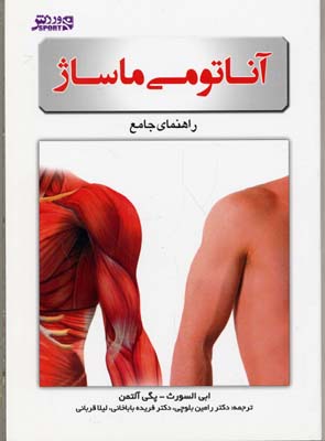 آناتومی ماساژ: راهنمای جامع